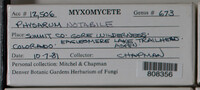 Image Associated With the Occurence